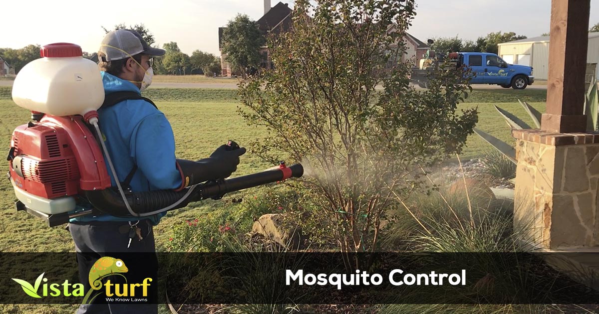 Mosquito Control Services Vista Turf